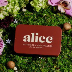 Alice Happy Ending Chocolate